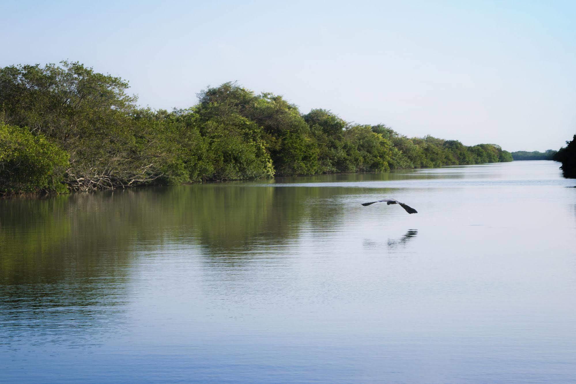Isla Tajín Hotel Tuxpan  Exterior foto